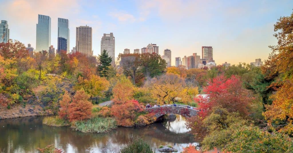In-Person Therapy in NYC