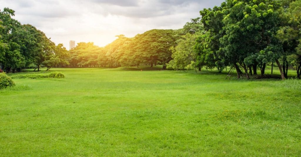 Best Path to Healing with a Therapist in Severna Park