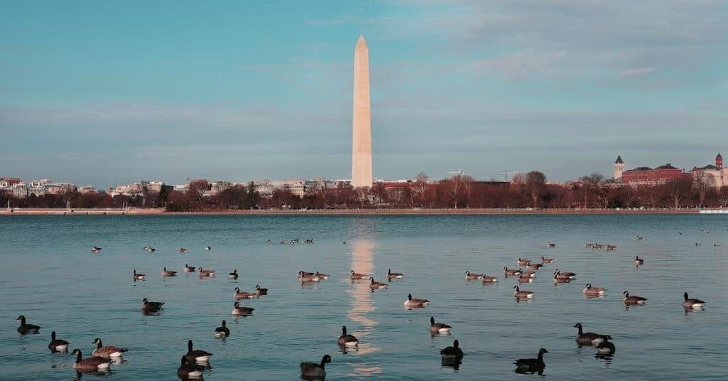 DBT in Washington DC