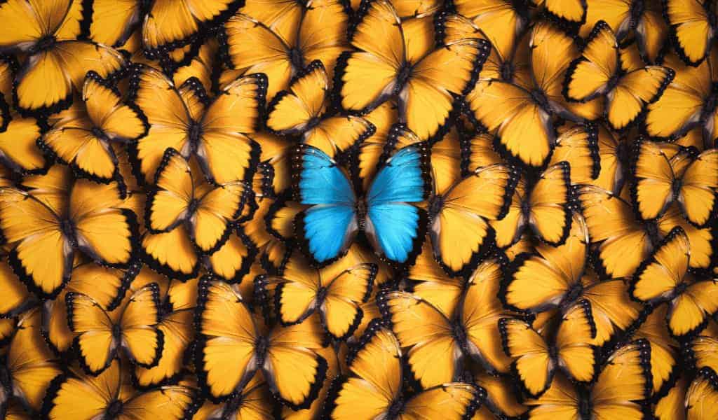 Strength in Neurodivergence