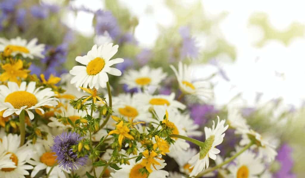 Healing and Personal Growth