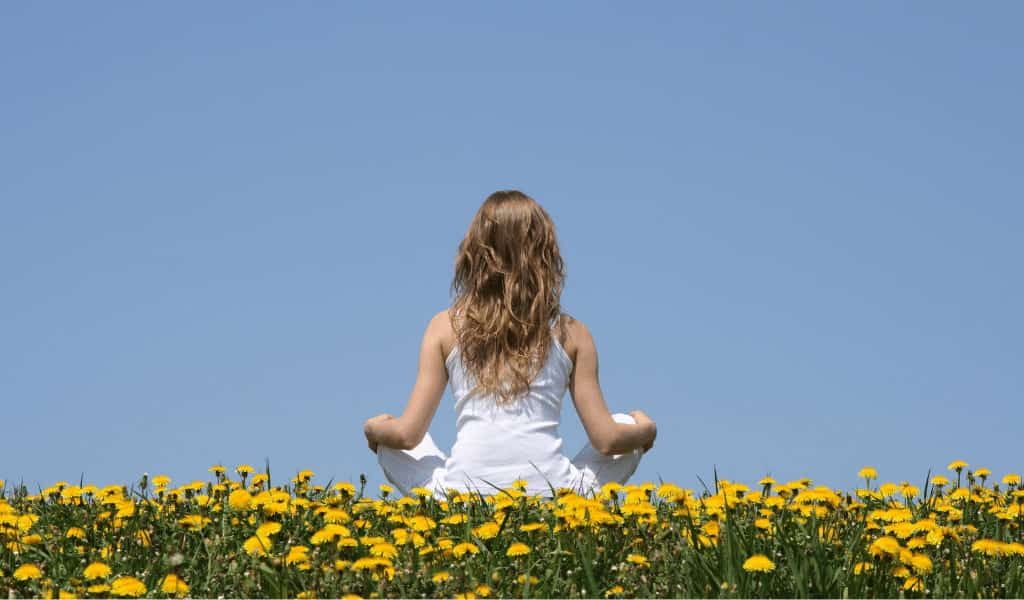 Mindfulness Everyday